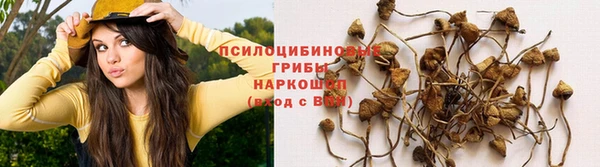 молекула духа Лиски