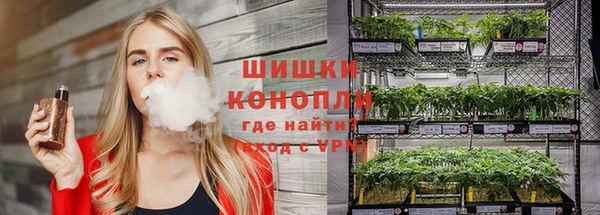 молекула духа Лиски